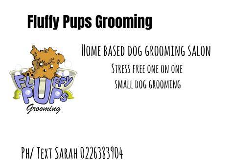 Quiet one-on-one grooming for a nervous or timid dog